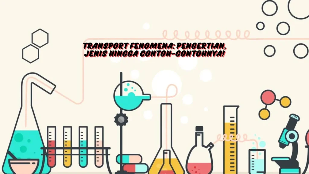 Transport-Fenomena