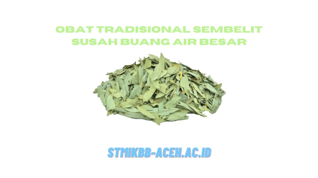 Obat-Tradisional-Sembelit-Susah-Buang-Air-Besar.