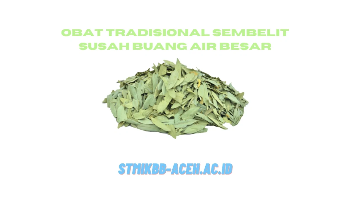 5 Obat Tradisional Sembelit Susah Buang Air Besar