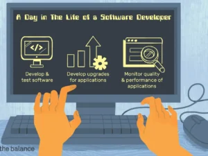 Software Developer