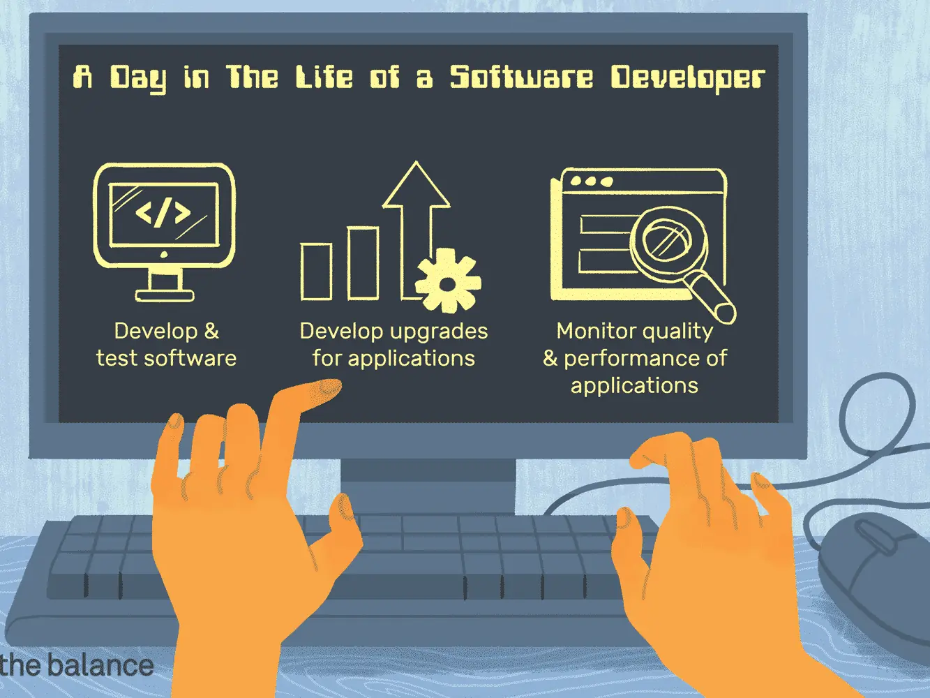Software Developer