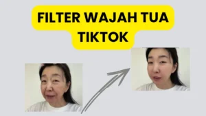 filter wajah tua tiktok - stmikbb-aceh.ac.id